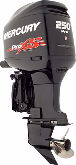 Picture of 250L Pro XS OptiMax